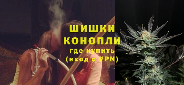 ПСИЛОЦИБИНОВЫЕ ГРИБЫ Баксан