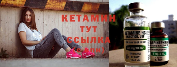 шишки Беломорск