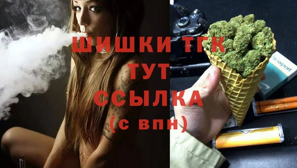 шишки Беломорск