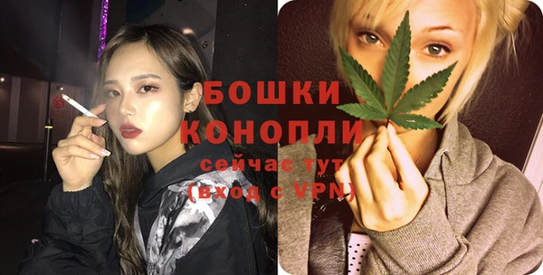 шишки Беломорск